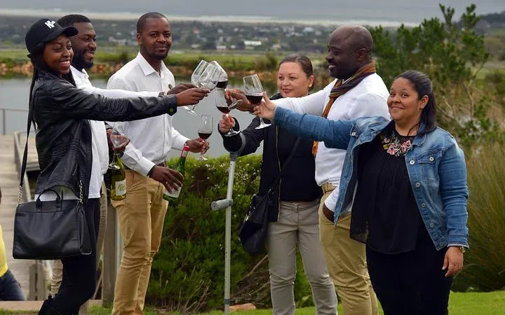 Cape Agulhas and Stony Point Private Guided Tour from Cape Town with Hotel Transfers Image 10