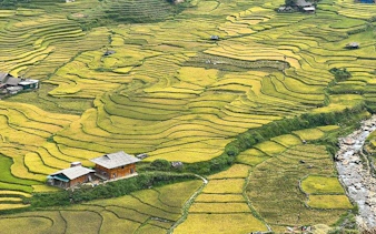 Terraced rice fields in Sapa, Vietnam with village houses and a river nearby.
