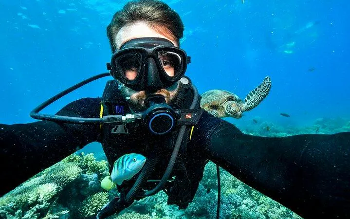 Diver exploring coral reef with fish and sea turtle in Hurghada.