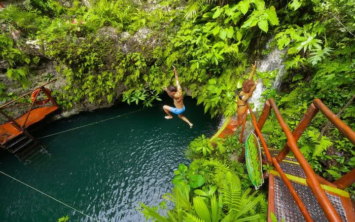 Person jumping into a cenote surrounded by lush greenery on a snorkeling tour in America’s largest reef.