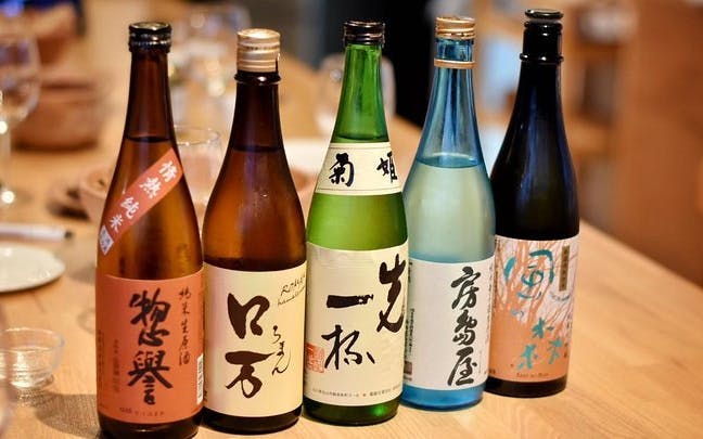 sake tasting masterclass in shinjuku (8+ varieties with a pro)-4