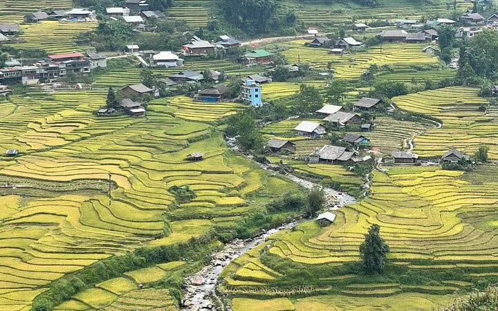 Rice terraces and village in Sapa, Vietnam, with a stream running through the landscape.