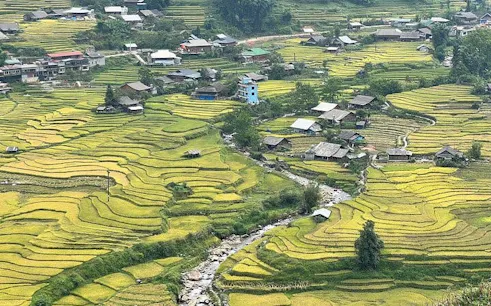 Rice terraces and village in Sapa, Vietnam, with a stream running through the landscape.