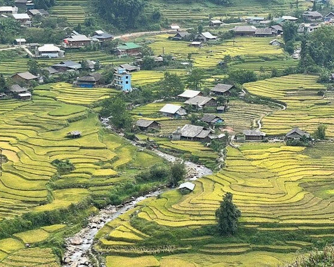 Sapa Trekking and Village Homestay Experience with Meals and Hotel Pickup (Product 53537)