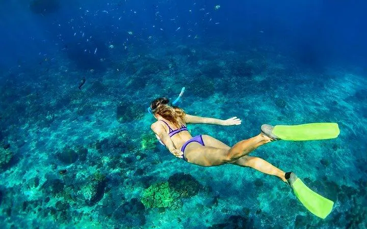Snorkeler exploring coral reef at Tiran Island, Sharm El Sheikh.