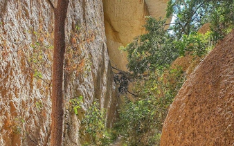 Cappadocia valley with rock formations and greenery on a private trekking tour.