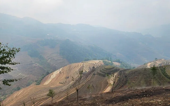 Terraced rice fields in Mu Cang Chai, Vietnam, with misty mountains in the background.