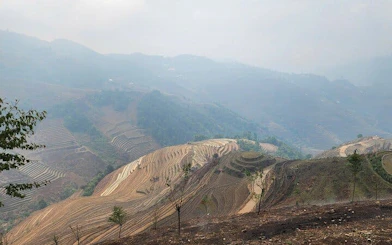 Terraced rice fields in Mu Cang Chai, Vietnam, with misty mountains in the background.