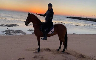 Horseback rider at sunset on Red Sea beach, Hurghada.