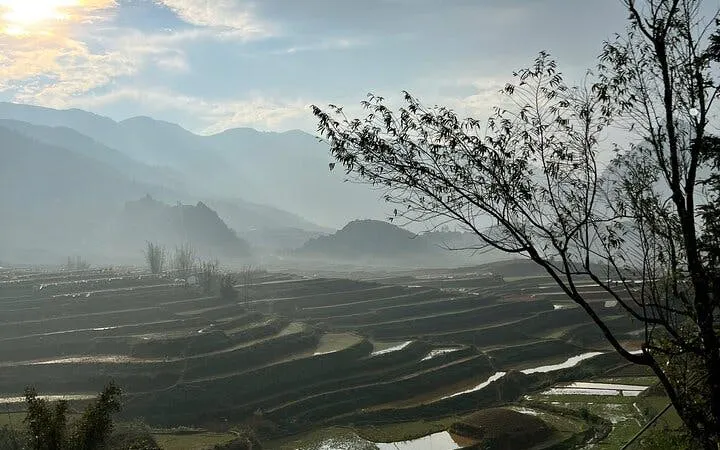 Terraced rice fields in Sapa with misty mountains in the background, Vietnam.