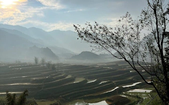 Terraced rice fields in Sapa with misty mountains in the background, Vietnam.