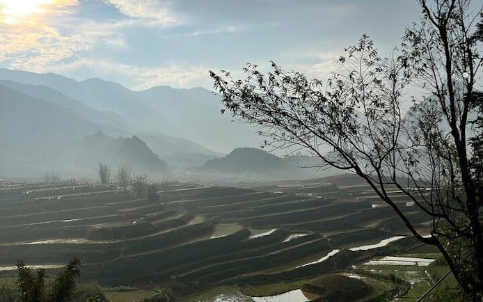 Terraced rice fields in Sapa with misty mountains in the background, Vietnam.