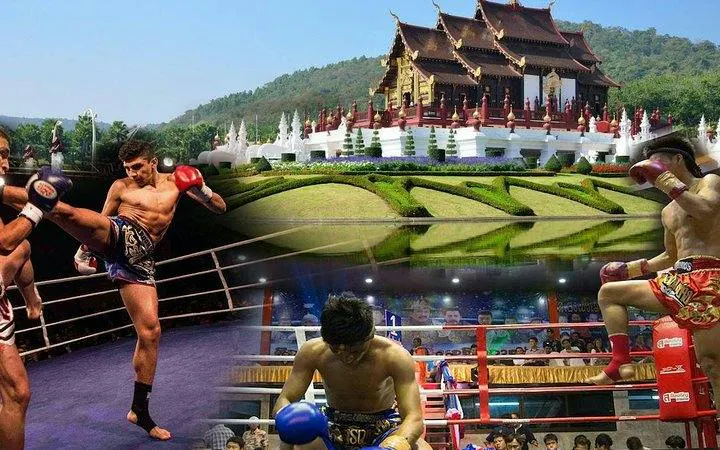 Muay Thai fighters in action at Thapae Stadium, Chiang Mai, with a traditional temple in the background.
