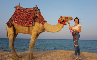 Camel ride along the beach in Sharm El Sheikh with a decorated camel and a smiling tourist.