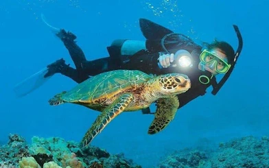 Antalya Scuba Diving & Snorkeling Tour with Lunch