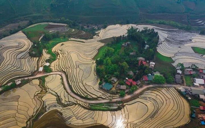 Sapa terraced rice fields with village and winding road, Vietnam.