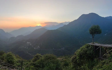Lonely Tree at sunset overlooking mountains on Sapa Private Car Tour, Vietnam.