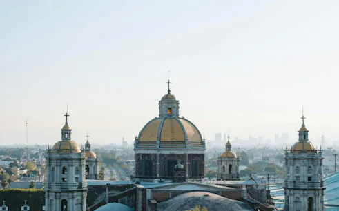 Basilica of Guadalupe domes with Mexico City skyline in the background.