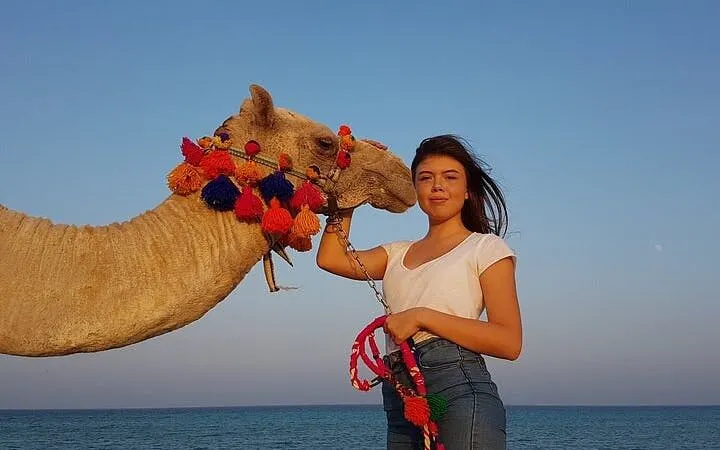 Camel ride along the Red Sea in Sharm El Sheikh.