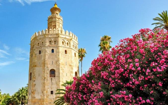 Torre del Oro in Seville with blooming pink flowers and palm trees.