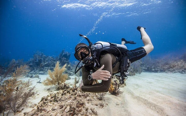 Fujairah PADI Open Water Diver Course