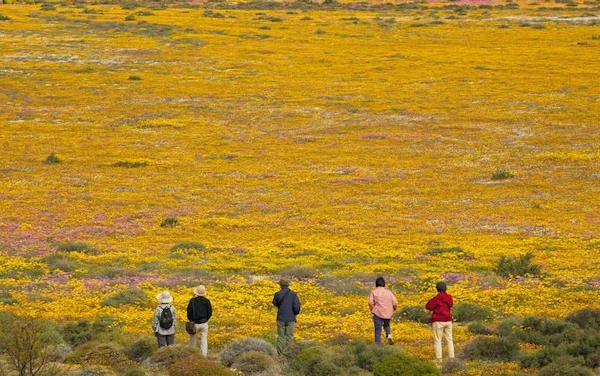 Cape West Coast Private Guided Tour from Cape Town