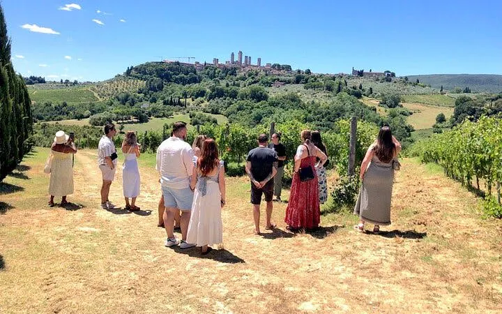 Tour group exploring Chianti vineyards with view of San Gimignano towers in the distance.