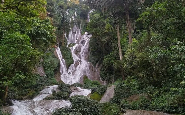 Waterfall surrounded by lush greenery on the Sapa Nature Day Trip in Vietnam.