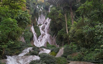 Waterfall surrounded by lush greenery on the Sapa Nature Day Trip in Vietnam.