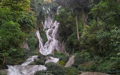 Waterfall surrounded by lush greenery on the Sapa Nature Day Trip in Vietnam.