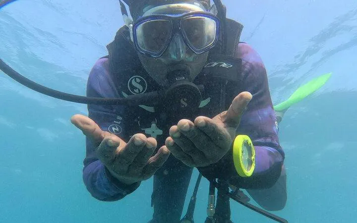 Semi-Submarine Reef Cruise