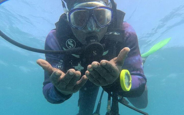 Semi-Submarine Reef Cruise