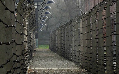 Krakow: Auschwitz-Birkenau Shared English Tour and Transfer