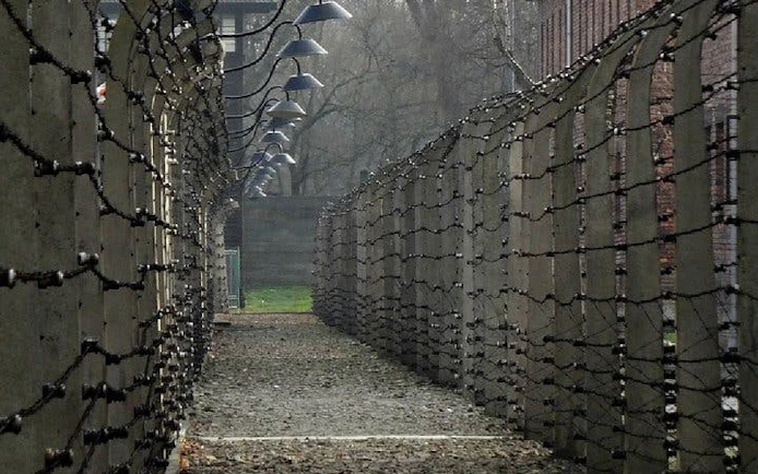 Krakow: Auschwitz-Birkenau Shared English Tour and Transfer
