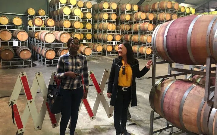 constantia winelands private wine tour from cape town-7
