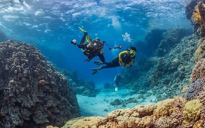 excursie de scufundări și snorkeling în alanya-3