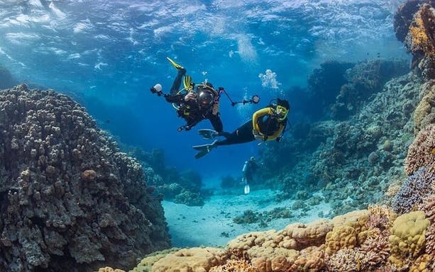 excursie de scufundări și snorkeling în alanya-3