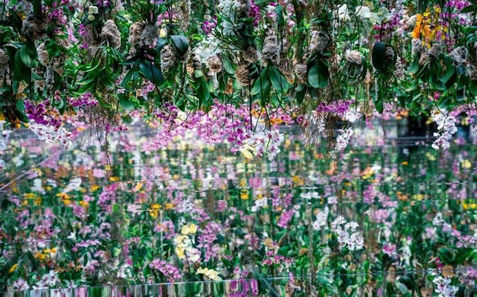 teamLab Borderless Tokyo floral digital art installation with colorful hanging flowers.