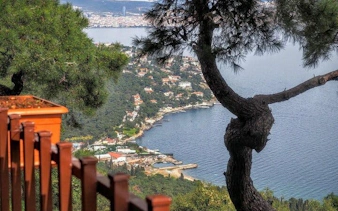 Heybeliada coastline view from a hill with trees and distant cityscape, Princess Islands.