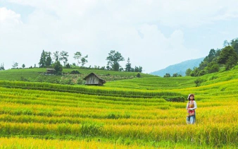 Rice terraces in Muong Hoa Valley, Sapa, with a person walking through the fields.