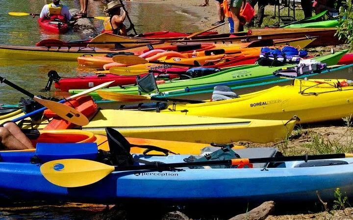 Kayaks lined up on a sandy shore for Key Largo Mangrove Kayak Adventure, Miami.