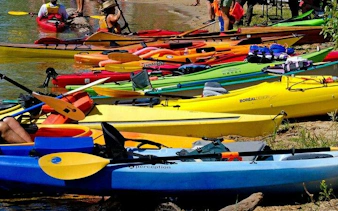 Kayaks lined up on a sandy shore for Key Largo Mangrove Kayak Adventure, Miami.