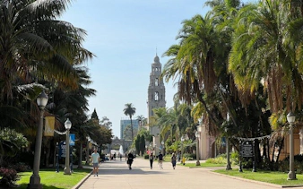 Balboa Park walkway with California Tower in San Diego, palm trees lining the path.