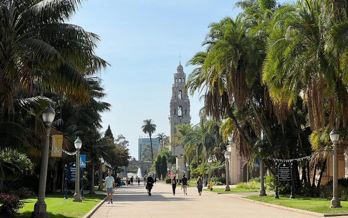 Balboa Park walkway with California Tower in San Diego, palm trees lining the path.