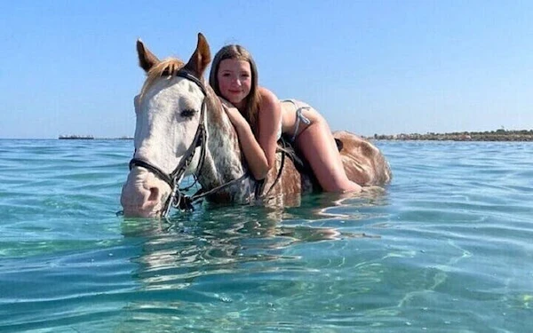 Swimming by Horse at Red Sea Beach & Desert with transfer - Hurghada
