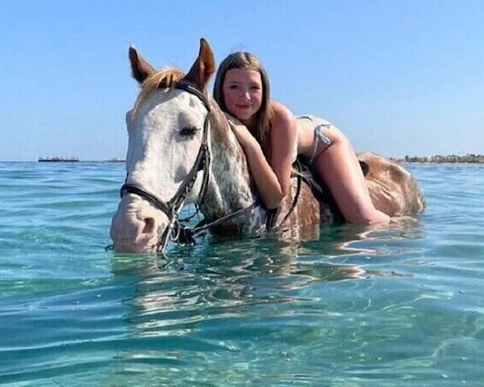 Swimming by Horse at Red Sea Beach & Desert with transfer - Hurghada