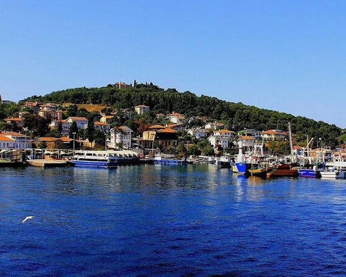 Istanbul All-Inclusive Princes’ Islands Tour+Lunch & Hotel Pickup
