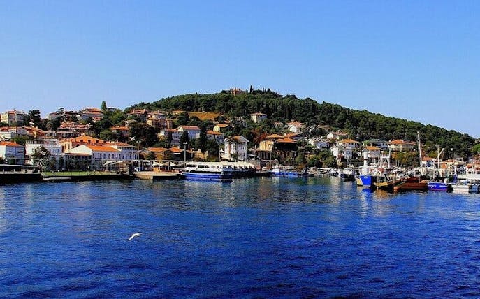 istanbul all-inclusive princes’ islands tour+lunch & hotel pickup-1