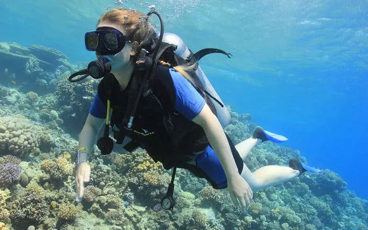 Snorkeler exploring coral reef during Tiran Island sea trip, Sharm El Sheikh.