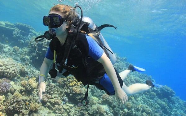 Tiran Island Full Day Snorkeling Sea Trip & intro dive 15 min - Sharm El Sheikh